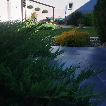 Apartment 19