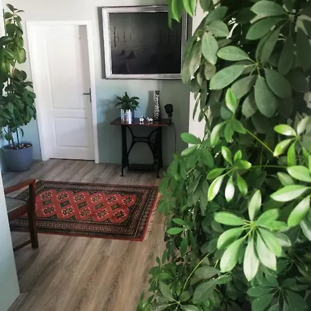 19 Apartment *