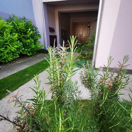 Apartment 19 *
