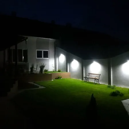 19 *